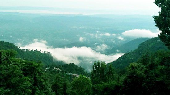 The Dal Lake Cafe & Lounge